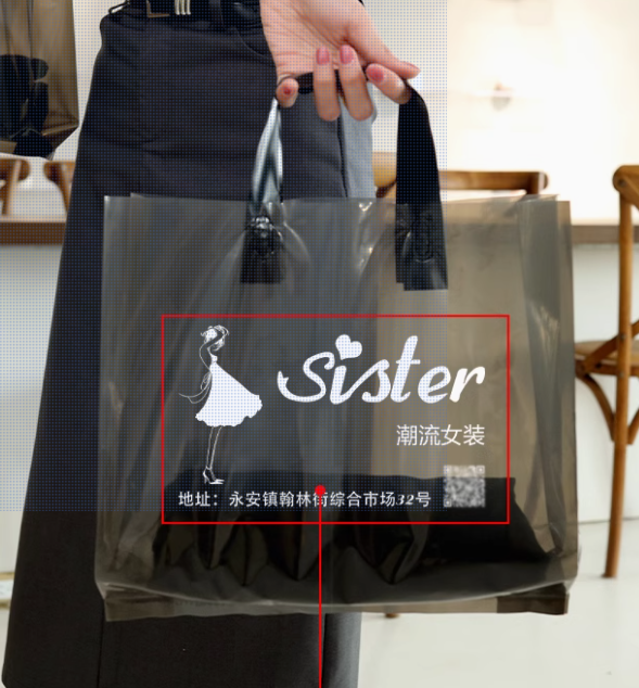 Custom Logo Semi-Transparent Garment Bags